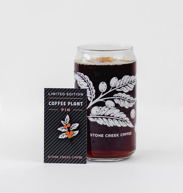 6 MONTH COFFEE SUBSCRIPTION