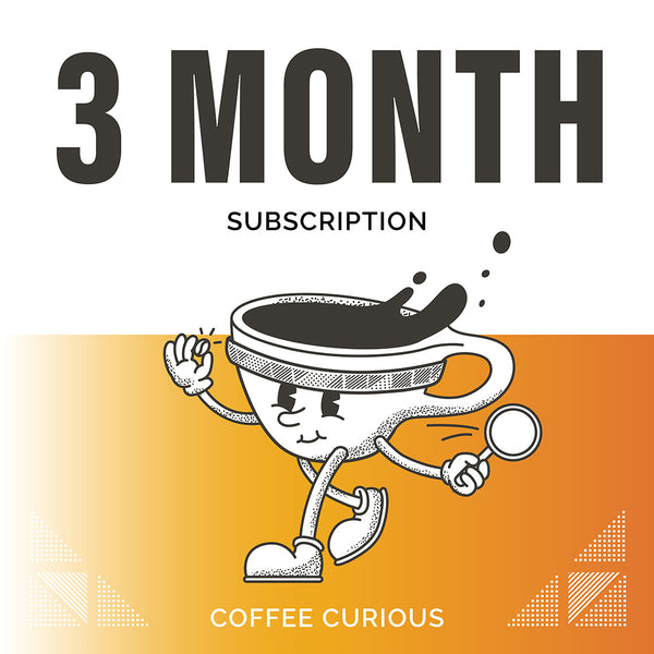 3 MONTH COFFEE SUBSCRIPTION