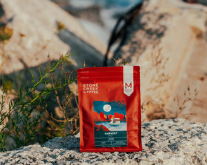 FALL IN MILWAUKEE: YOUR GUIDE TO COFFEE, CAFES, & COZY THINGS TO DO