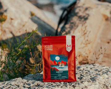 FALL IN MILWAUKEE: YOUR GUIDE TO COFFEE, CAFES, & COZY THINGS TO DO