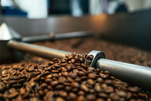 How Fresh Is “Fresh” Coffee? Understanding Roast Dates and Flavor