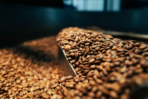 Light Roast vs. Medium Roast Coffee: What's the Real Difference?