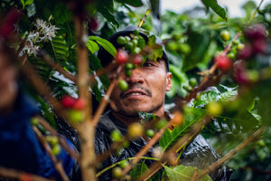 BEHIND THE BEANS: THE PICKER'S PROJECT