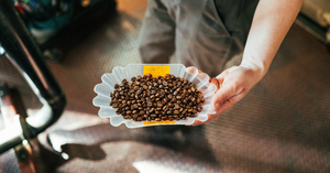Medium vs. Dark Roast Coffee: Which One is Right for You?