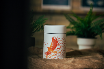 Should You Keep Coffee in the Fridge?