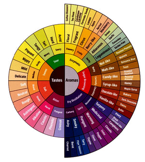 A Beginner’s Guide to Coffee Tasting Notes