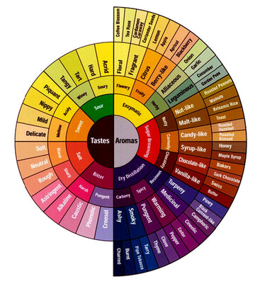 A Beginner’s Guide to Coffee Tasting Notes