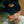 DEATH HEAD MOTH DAD HAT