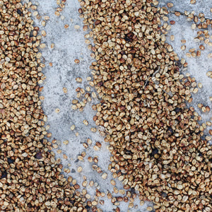 Boneshaker Farm Image