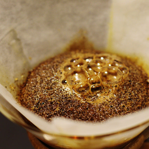 HOW TO BREW COFFEE PUBLIC CLASS