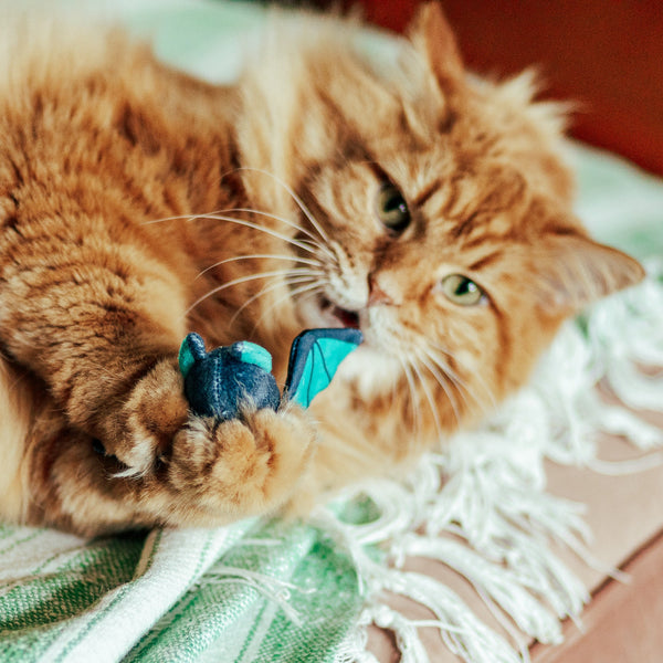 BATTY CATNIP CRINKLE TOY