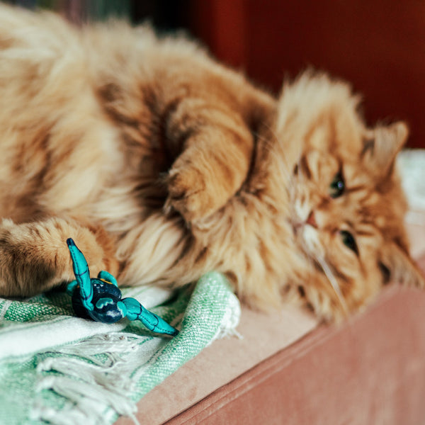 BATTY CATNIP CRINKLE TOY