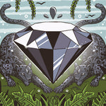 BLACK DIAMOND COSTA RICA