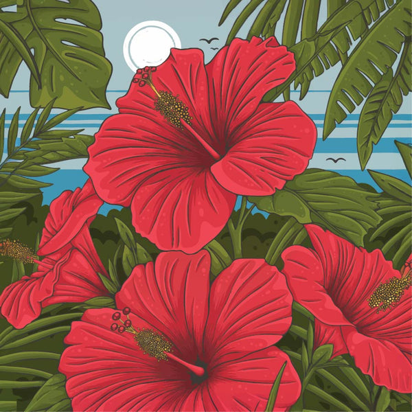 BRIGHT CHIROSO COLOMBIA