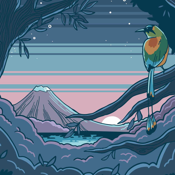 DARK AWAKENING NICARAGUA