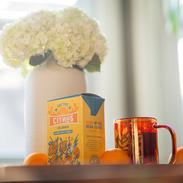 JUICE BOX COLLECTION BUNDLE