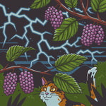 ELECTRIC MULBERRY ETHIOPIA