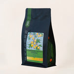 GOOSEBERRY GLITCH ETHIOPIA