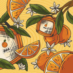 HI-FI ORANGE COLOMBIA