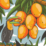 MANGO NECTAR COLOMBIA