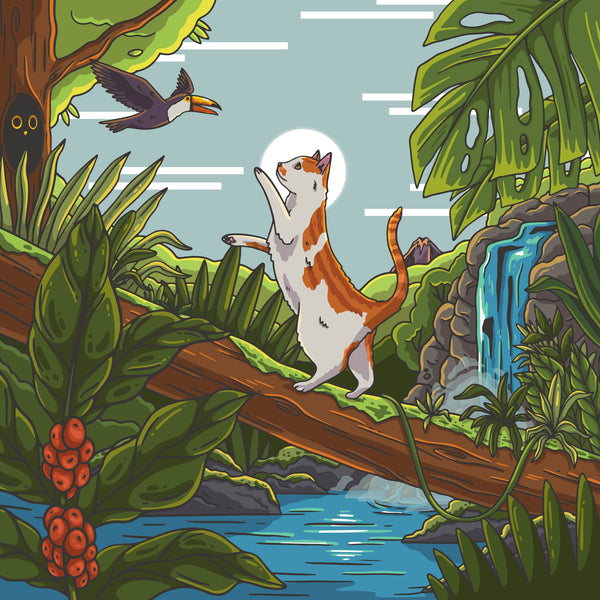 NATTY CAT COSTA RICA