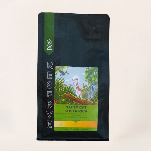 NATTY CAT COSTA RICA