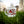 NATURE MUGS SET OF FOUR