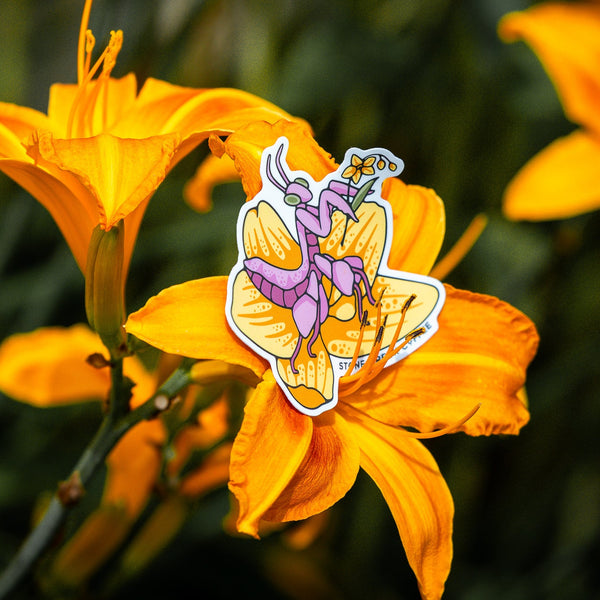 ORCHID MANTIS STICKER