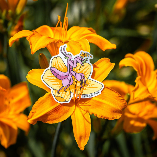 ORCHID MANTIS STICKER
