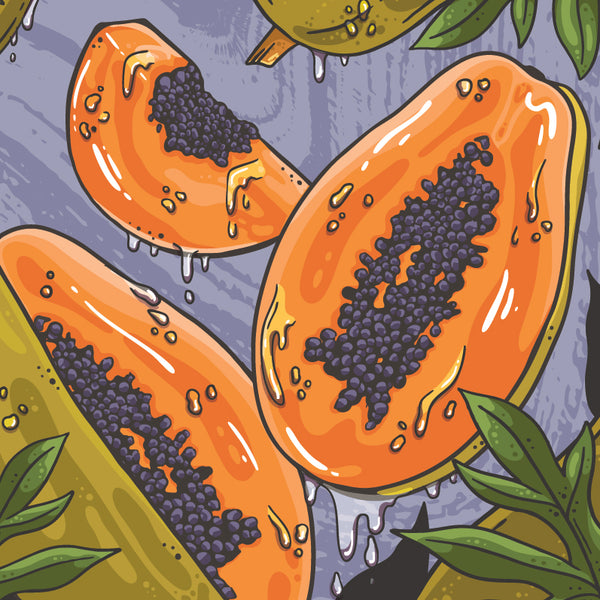 PAPAYA NECTAR COLOMBIA
