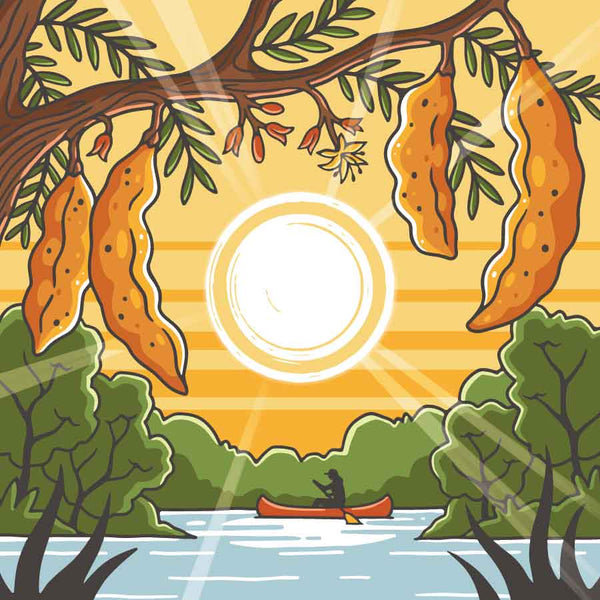 TAMARIND SUN COLOMBIA