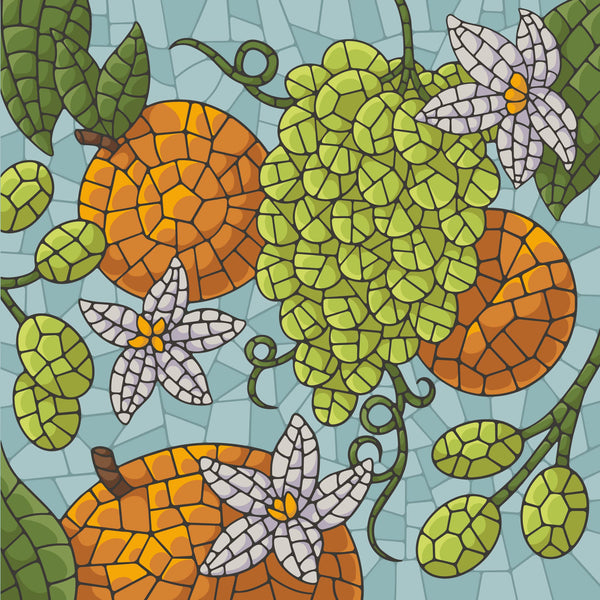 TROPICAL MOSAIC ECUADOR