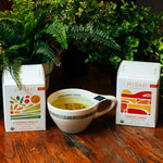 TURMERIC GINGER TEA SACHETS