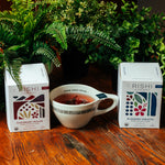 ELDERBERRY HEALER TEA SACHETS