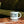 HERB MUG