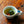 MATCHA SUPER GREEN TEA SACHETS