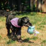 MUGSY TREAT POUCH DOG TOY