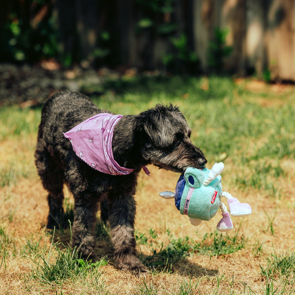 MUGSY TREAT POUCH DOG TOY