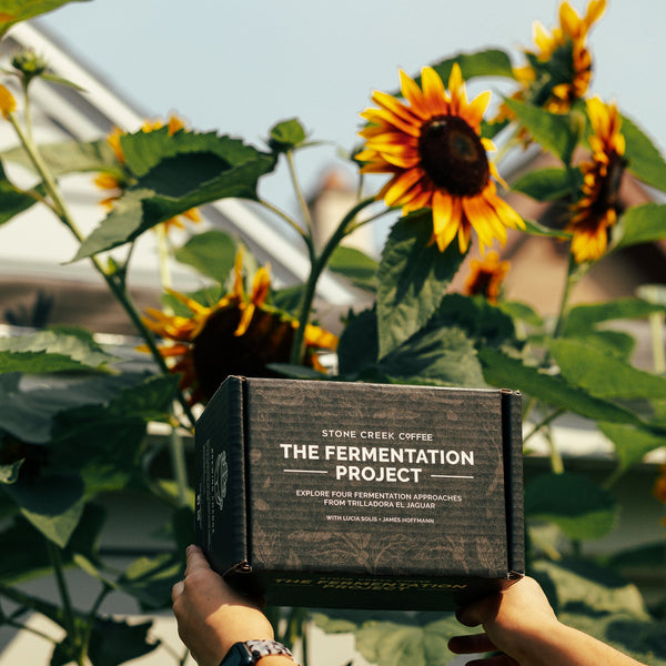 PRESALE: THE FERMENTATION PROJECT