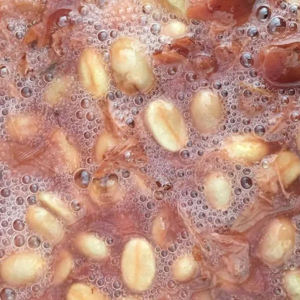 PRESALE: THE FERMENTATION PROJECT