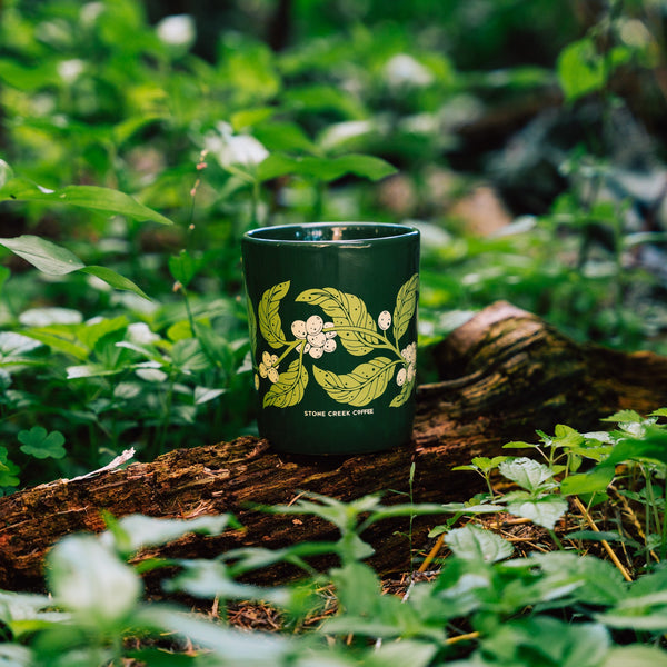 RITUAL & REFLECTION COLLECTION BOX