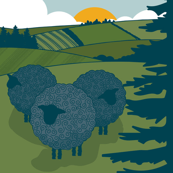 BLACK SHEEP