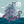 GHOST SHIP