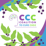COALITION TO CURE CHD2