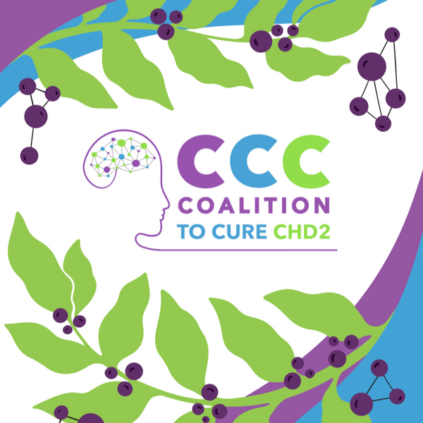 COALITION TO CURE CHD2