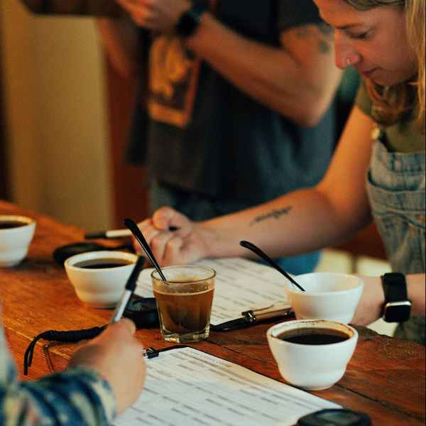 CUPPING & TASTING THE PERFECT CUP PUBLIC CLASS