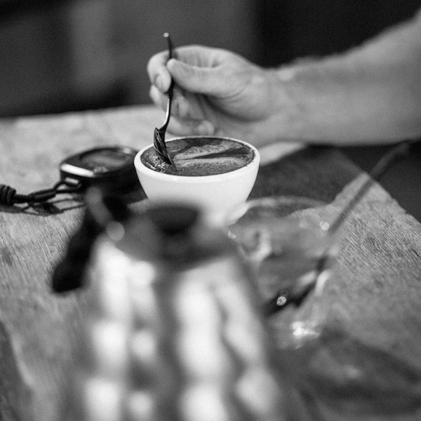 CUPPING & TASTING THE PERFECT CUP PUBLIC CLASS