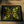 HONEY BANDANNA