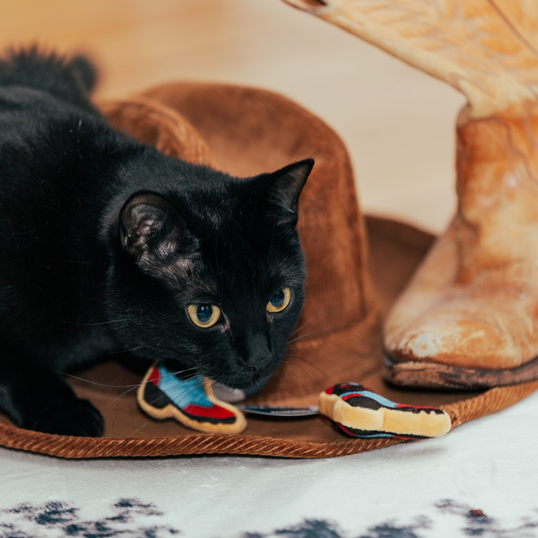 COWBOY CATNIP TOY