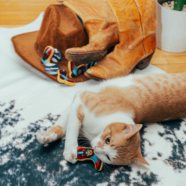 COWBOY CATNIP TOY